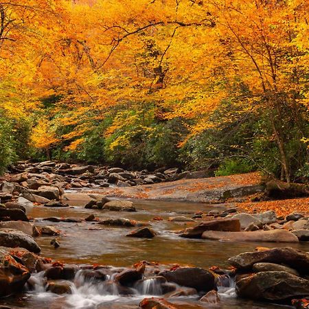 Peace, Serenity & Relaxation In The Smokies! แกตลิงเบิร์ก ภายนอก รูปภาพ
