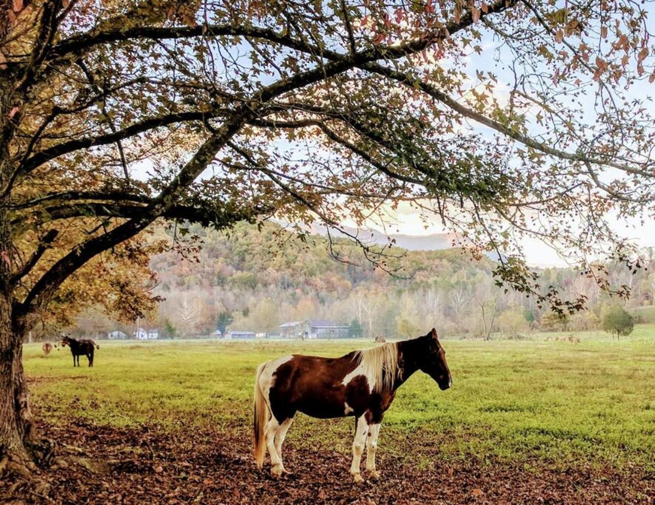 Peace, Serenity & Relaxation In The Smokies! แกตลิงเบิร์ก ภายนอก รูปภาพ