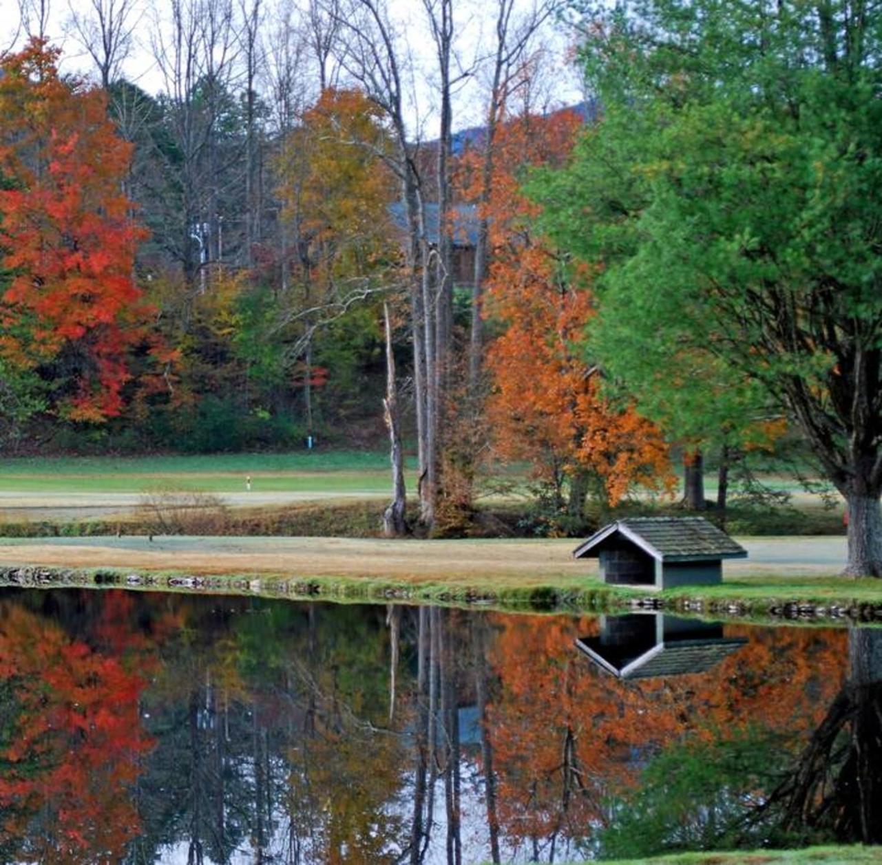 Peace, Serenity & Relaxation In The Smokies! แกตลิงเบิร์ก ภายนอก รูปภาพ