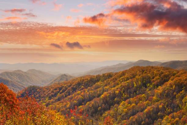 Peace, Serenity & Relaxation In The Smokies! แกตลิงเบิร์ก ภายนอก รูปภาพ