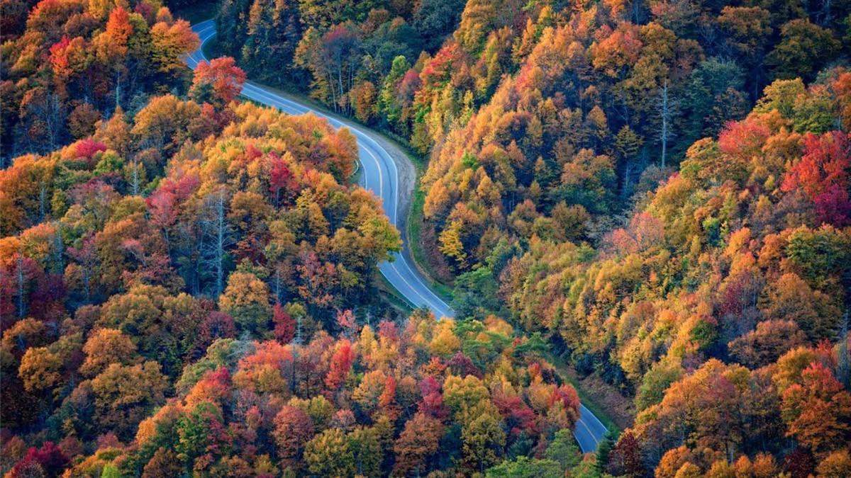 Peace, Serenity & Relaxation In The Smokies! แกตลิงเบิร์ก ภายนอก รูปภาพ