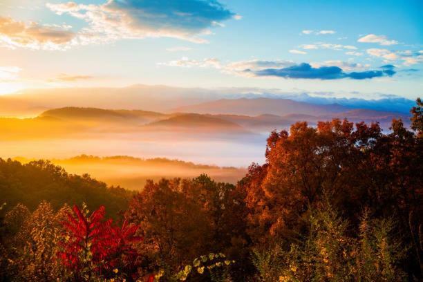 Peace, Serenity & Relaxation In The Smokies! แกตลิงเบิร์ก ภายนอก รูปภาพ