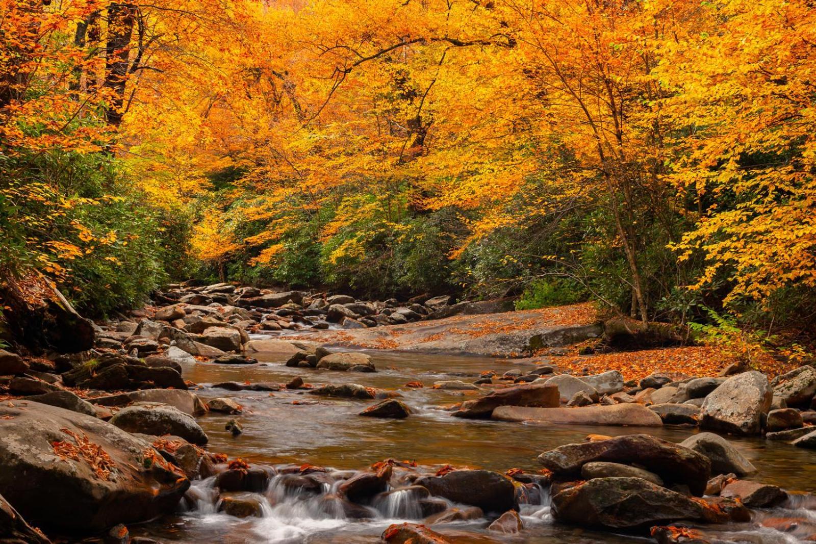 Peace, Serenity & Relaxation In The Smokies! แกตลิงเบิร์ก ภายนอก รูปภาพ